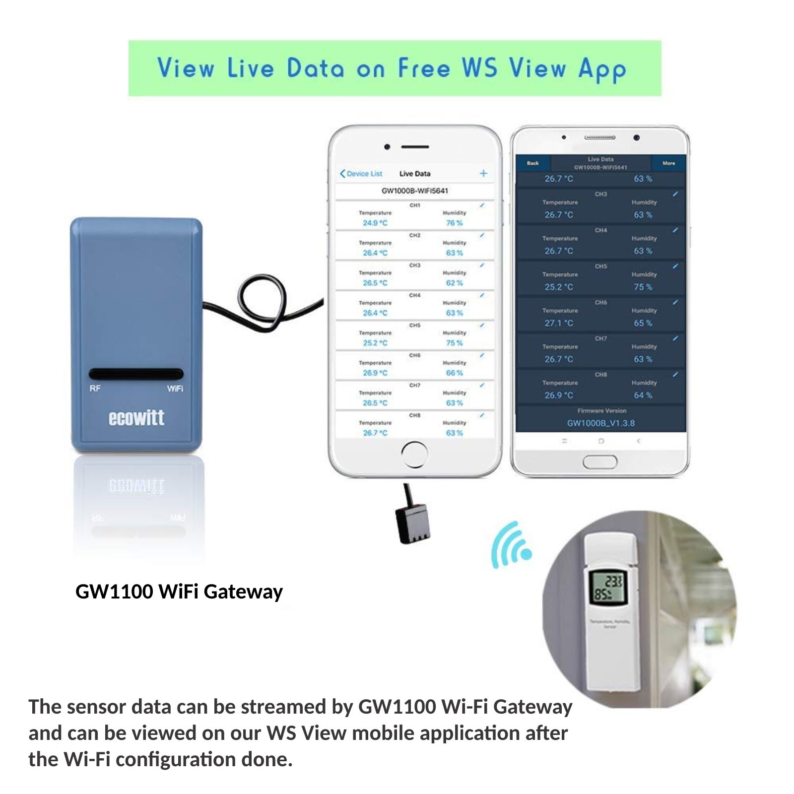 Ecowitt WN31(WH31) Thermometer - Rain Gauge Digital review and price