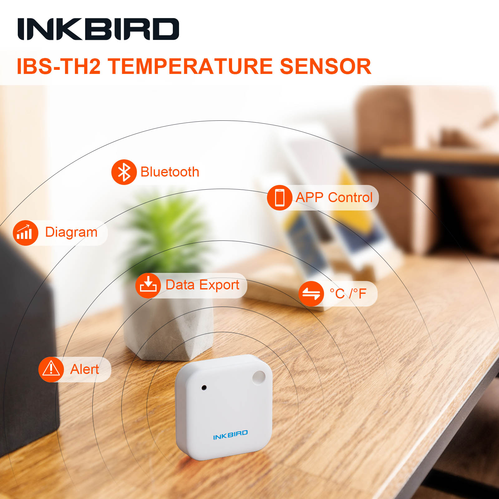 INKBIRD IBS-TH2 Bluetooth Magn - Rain Gauge Digital review and price